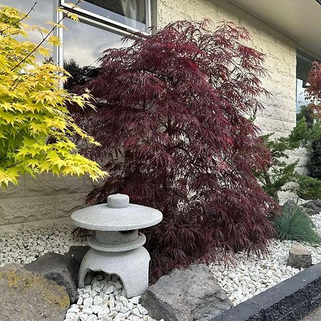 The Airport Homestay House Christchurch Luaran gambar