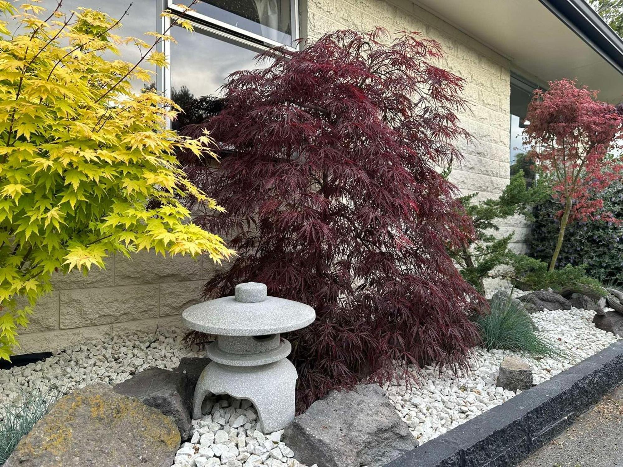 The Airport Homestay House Christchurch Luaran gambar